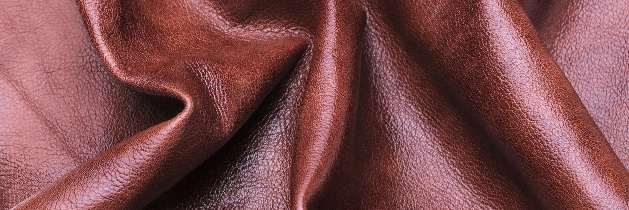 RobertsonJessel's profile banner image