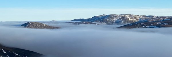 RewildScotland Profile Banner