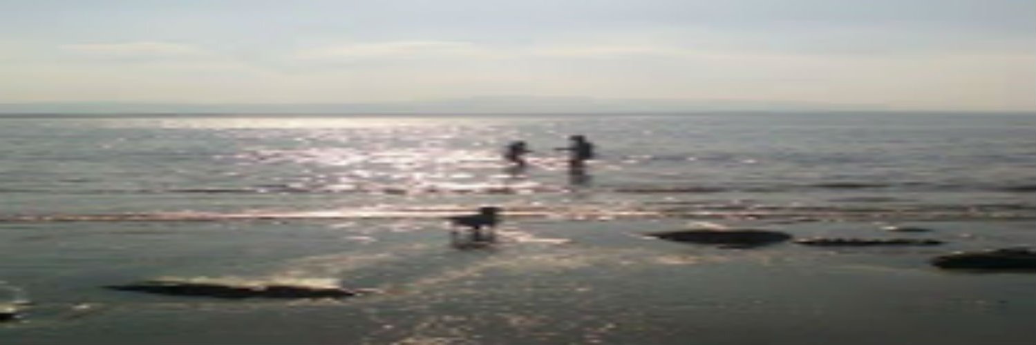 MRJFox77's profile banner image