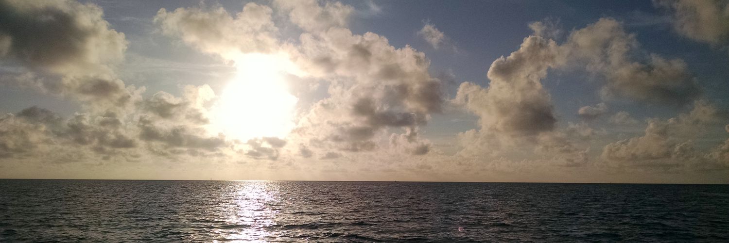 Samantha Walton banner