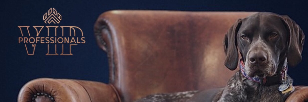 vicky_strong7's profile banner image