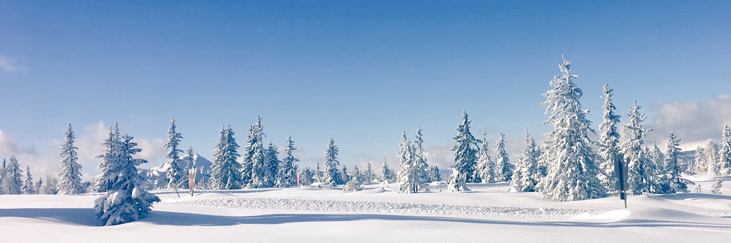 bescowiak's profile banner image