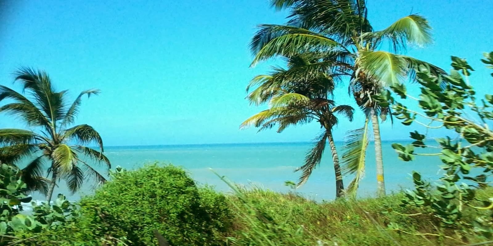 zulma20's profile banner image