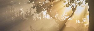 Dwayne7752's profile banner image