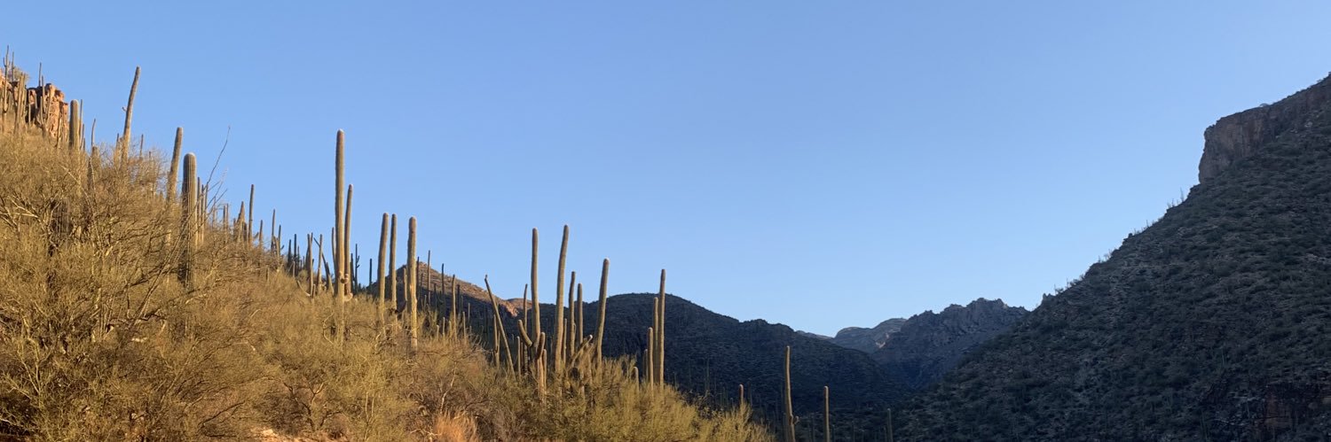 gisellemma's profile banner image
