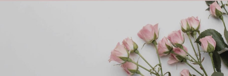 KayleeBeree's profile banner image