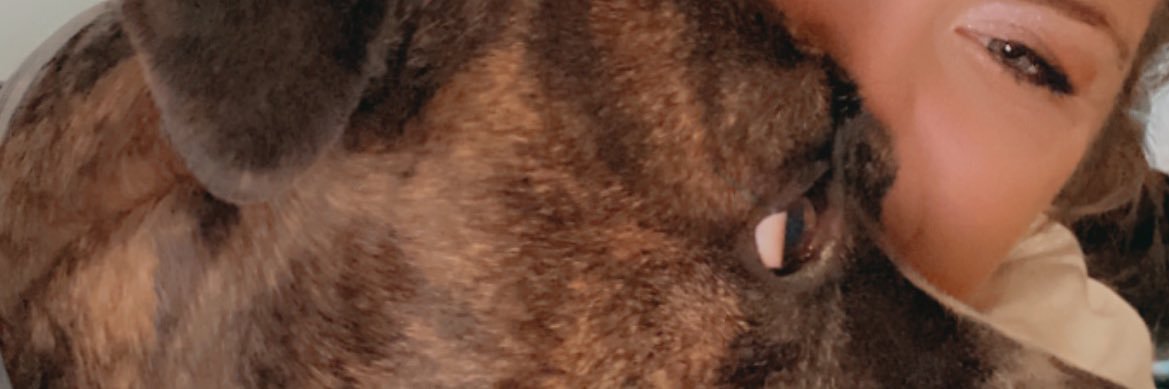 MeganSeelman's profile banner image