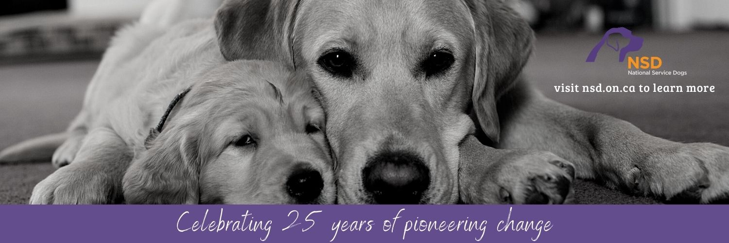NationalServiceDogs banner
