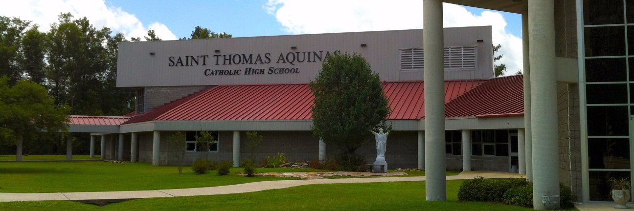 STA Falcons banner