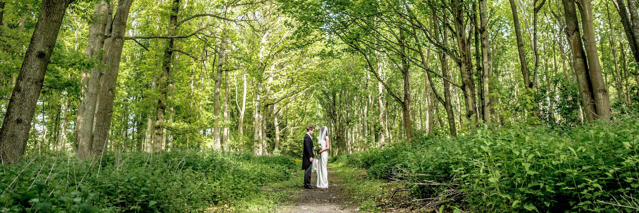 MatfenWeddings's profile banner image