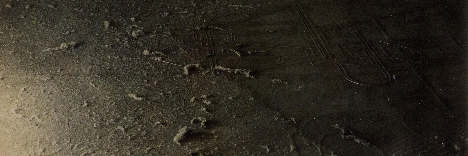 likeuntomurphy banner