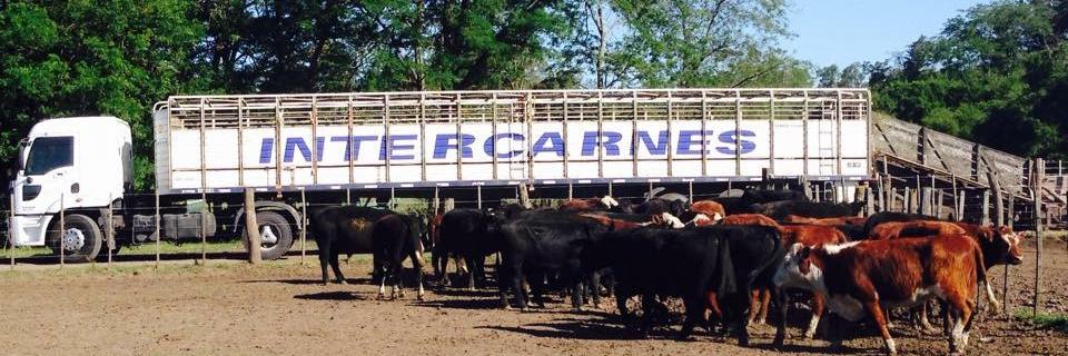 Intercarnes's profile banner image