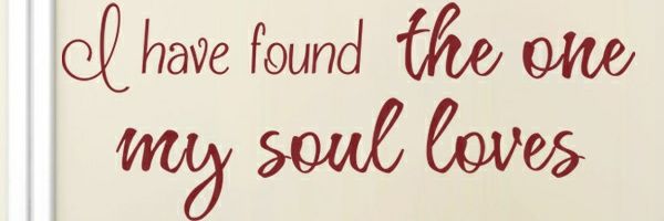 Tesa2222's profile banner image