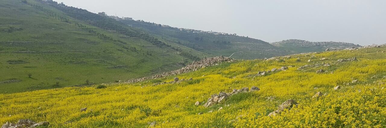 alazzami2002's profile banner image