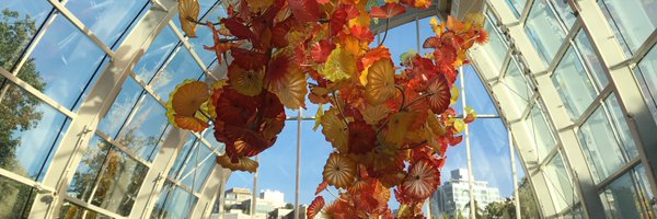 MoBLNCSU Profile Banner