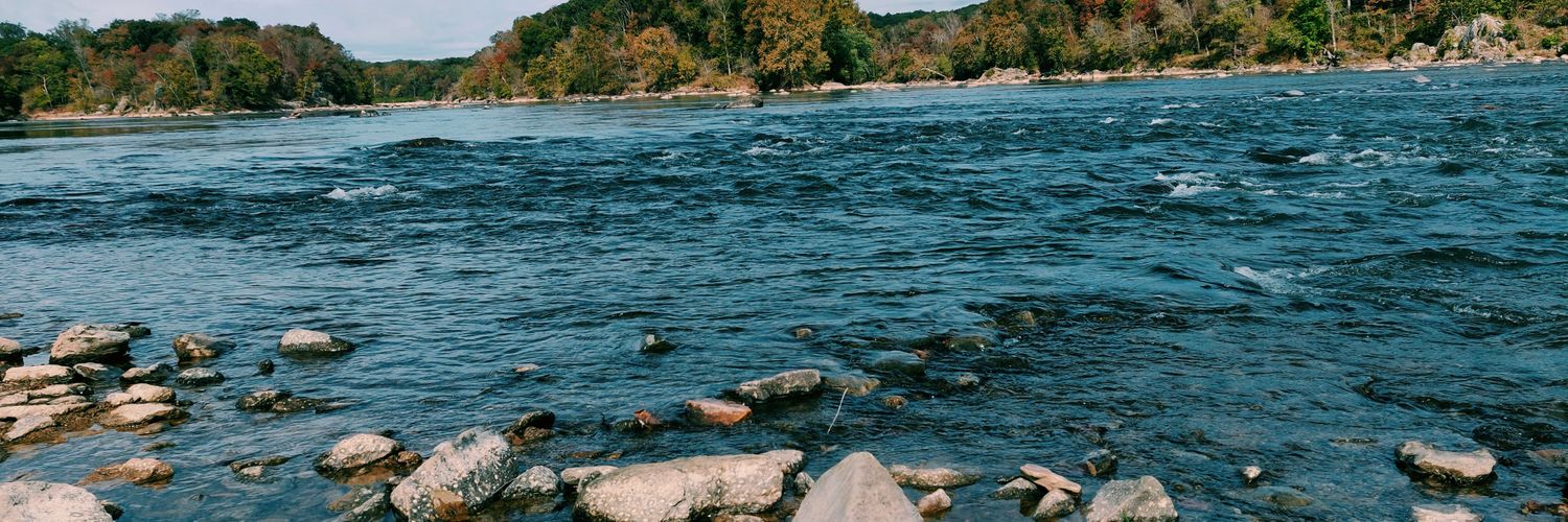 deespardees's profile banner image