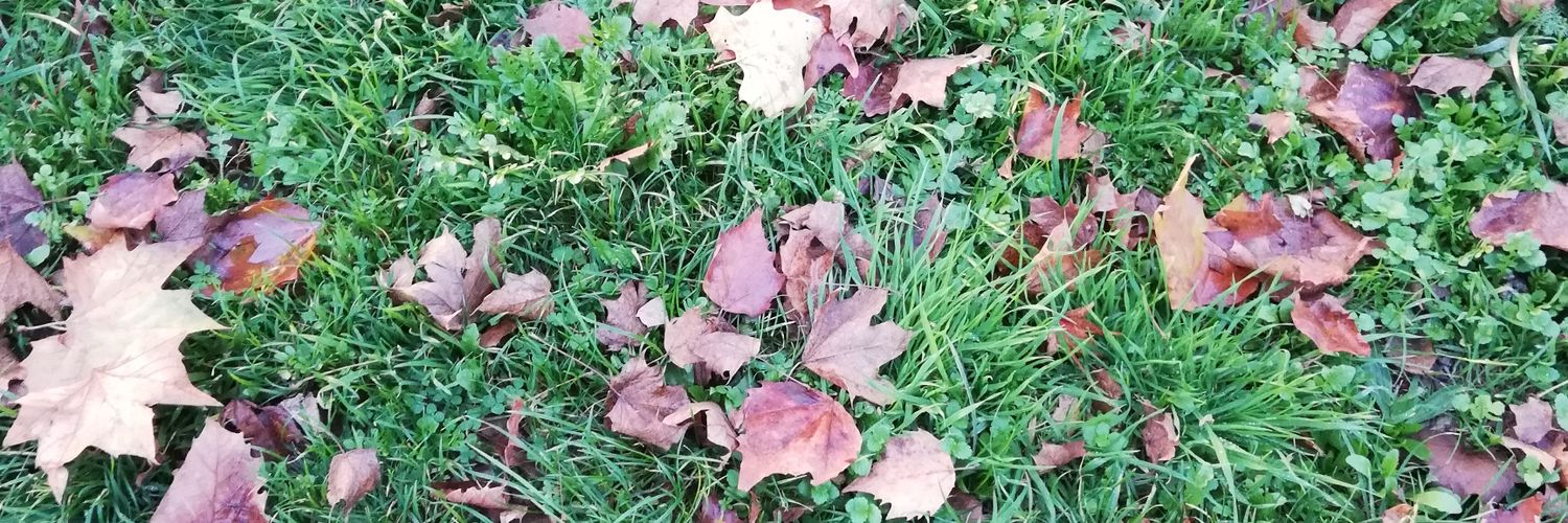 SteffxxC's profile banner image