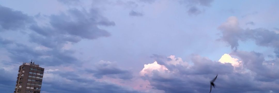 maartaadg's profile banner image