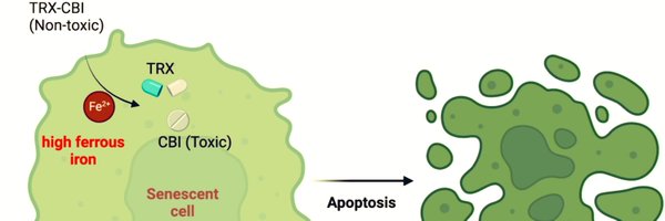 TessAdmasu Profile Banner