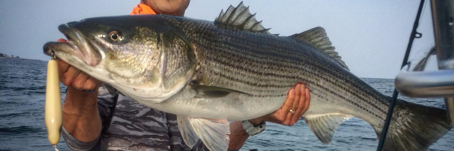 Why Knot Fishing banner