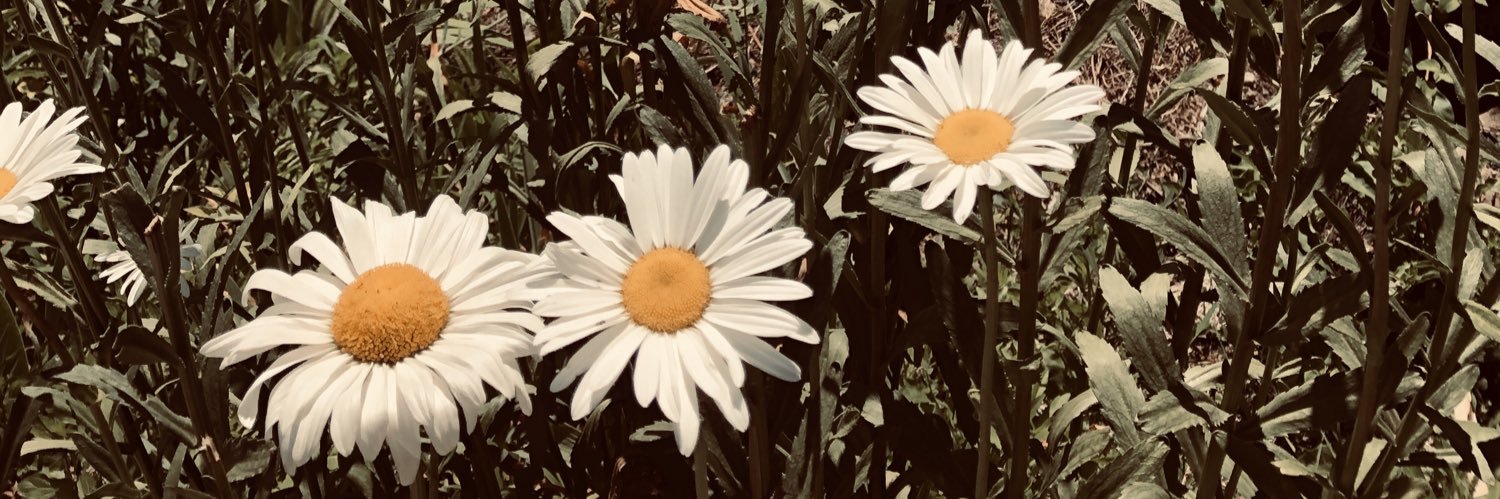 MariaMercedesPM's profile banner image