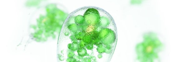 inalve_sas Profile Banner