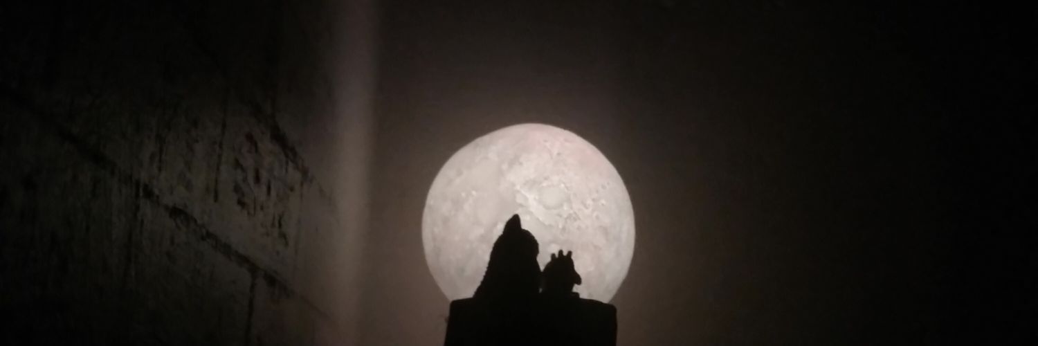 bgscyxx's profile banner image