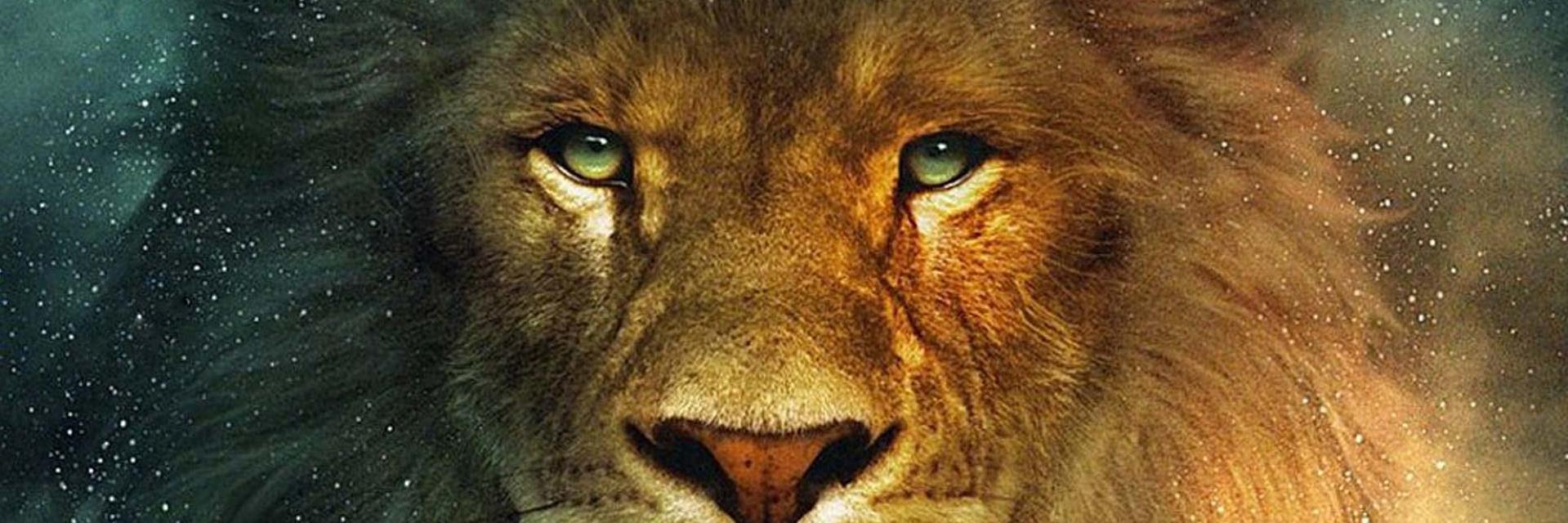 EriDomm1's profile banner image