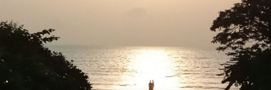 LynneYorkshire's profile banner image