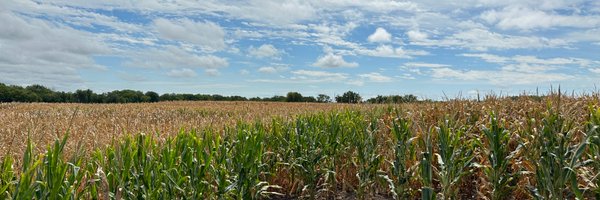 Nichohlas Profile Banner