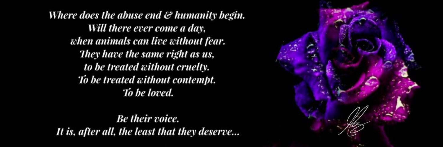 ℳ𝒪ℛ𝒢𝒜𝒩🌹 banner