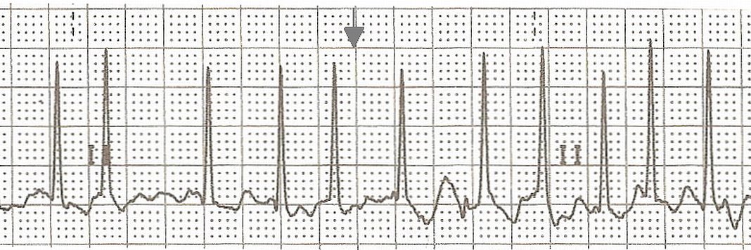 River Miles, RN (they/he) banner