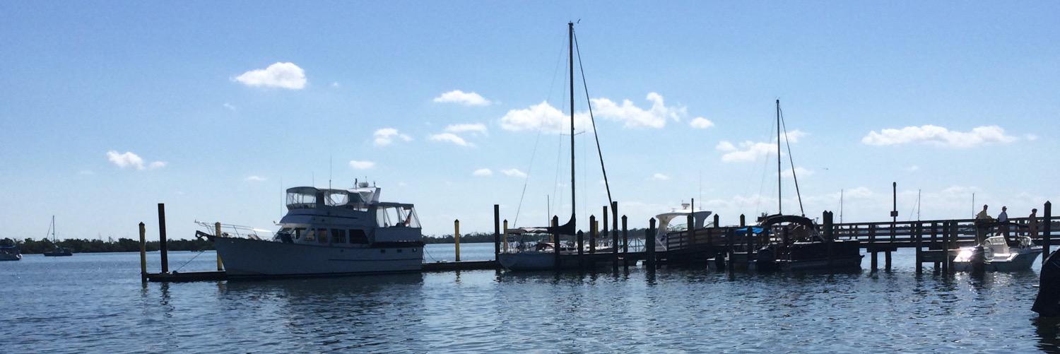 tessamaewiley's profile banner image