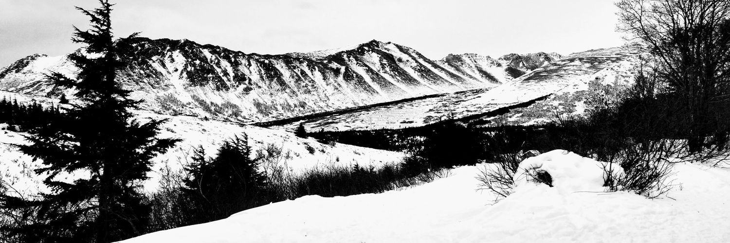 DaultonCarlson's profile banner image