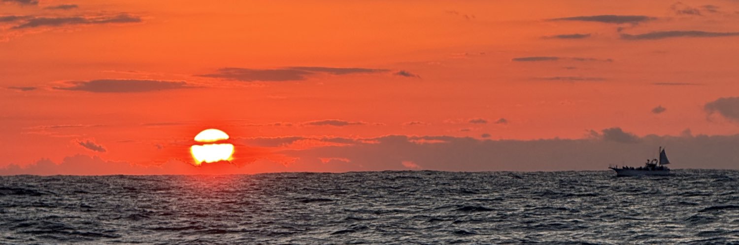 tokuppe's profile banner image