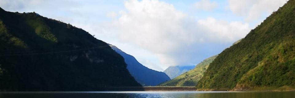 Diego Cardenas Chala banner