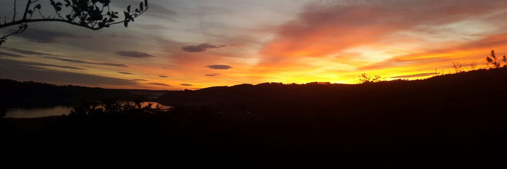 Eleanore Bouw-Spies banner