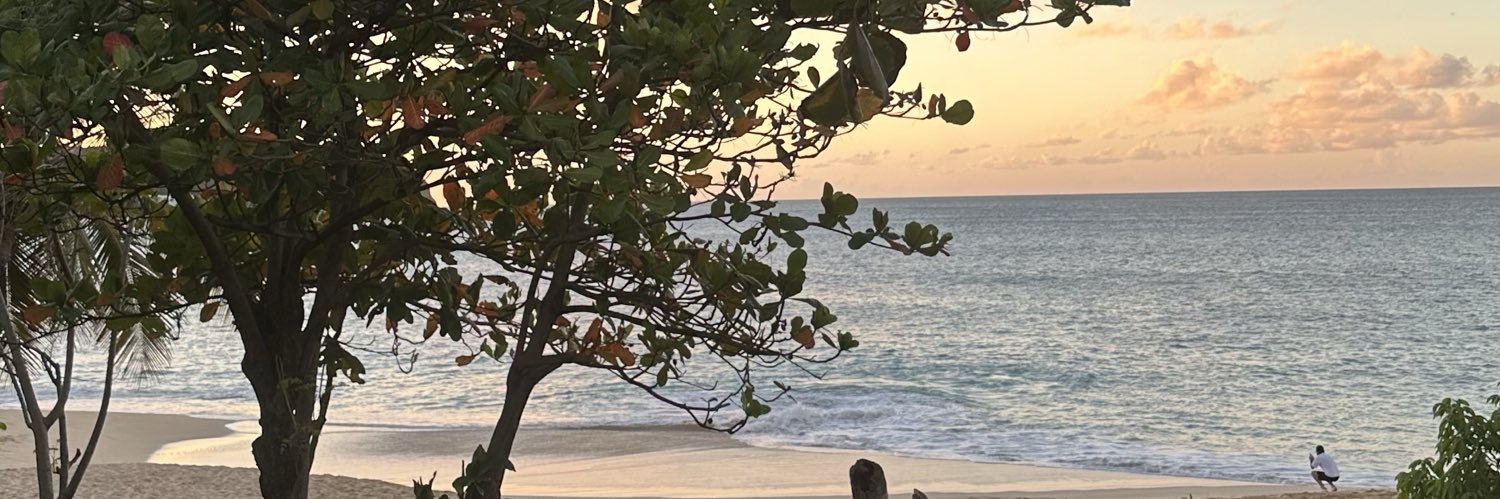 laureen_pllr's profile banner image