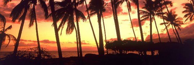 you'll never know banner