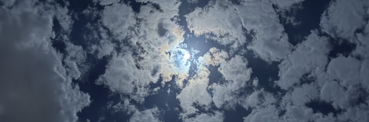 Xidz_'s profile banner image