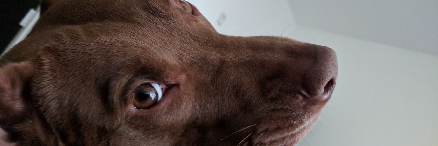 Jerry Lambdin banner