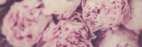 tiffstovy's profile banner image