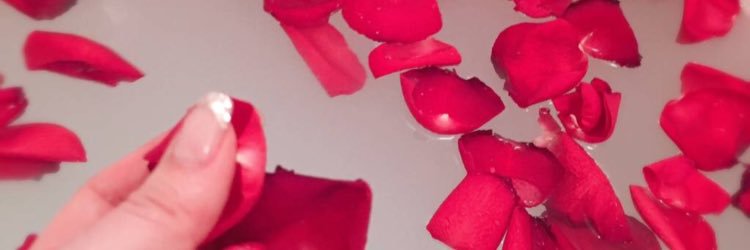 cinderella__mkr's profile banner image