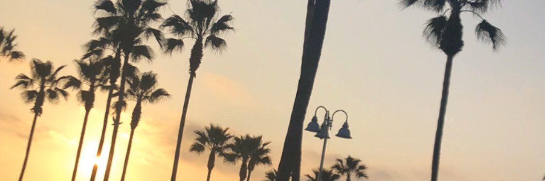 pedroavinaa's profile banner image
