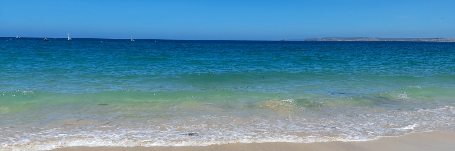 Helen E. Mundler-Arantes PhD banner