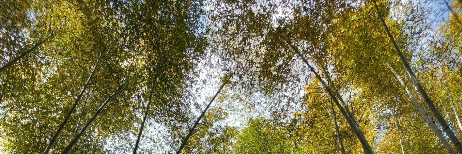 diego_spadafora's profile banner image