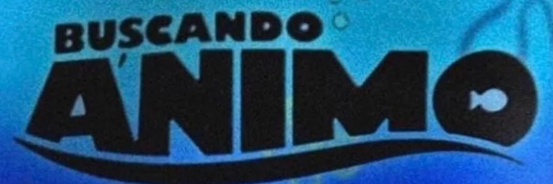 Rafael Informações ℹ️ banner