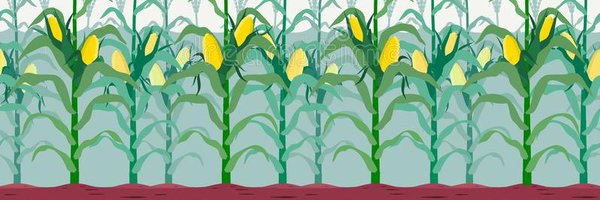 J Nickerson (💙,🧡) banner