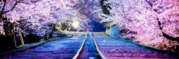 HanasakaSinger's profile banner image