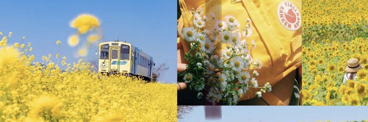 r_m_55's profile banner image